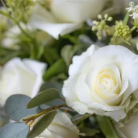 Planung und Organisierung