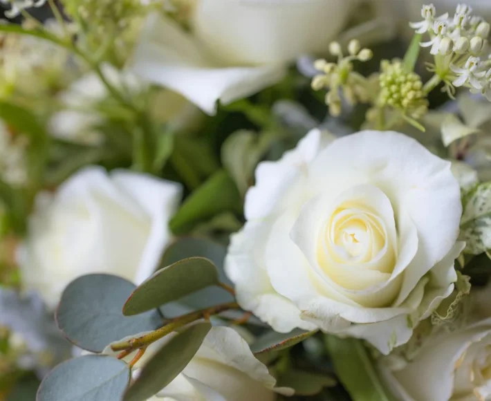 Planung und Organisierung